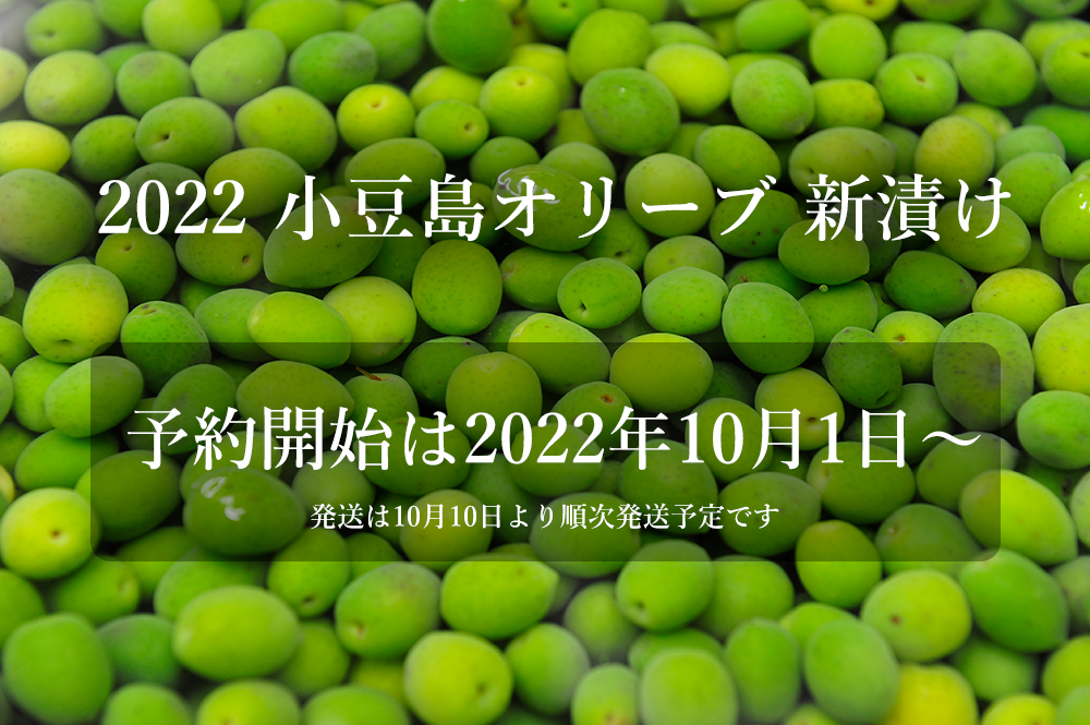 正規通販 小豆島 オリーブ新漬け 100g×3袋 季節限定 新漬 オリーブ 塩漬け 漬物 オリーブの実 塩漬 国産 送料込み  www.amboproperties.com